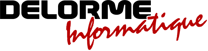 DELORME INFORMATIQUE logo